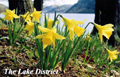 Lake District Keyrings (Size: 5.5cm x 4cm) image